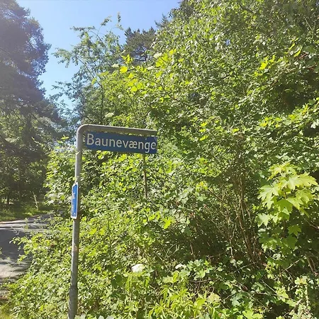 1620-aakirkeby-baunevaenge-8 Vester Somarken